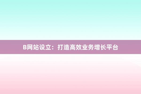 B网站设立：打造高效业务增长平台