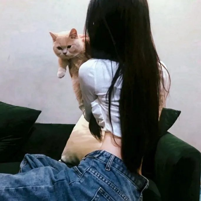 绵羊小铃