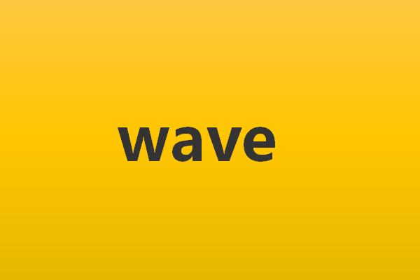 wave的意思