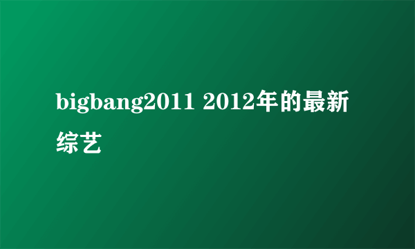 bigbang2011 2012年的最新综艺